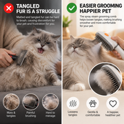 PAWLY™ Spray Steam Grooming Comb